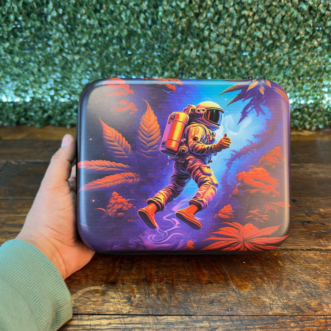 Astronaut bag